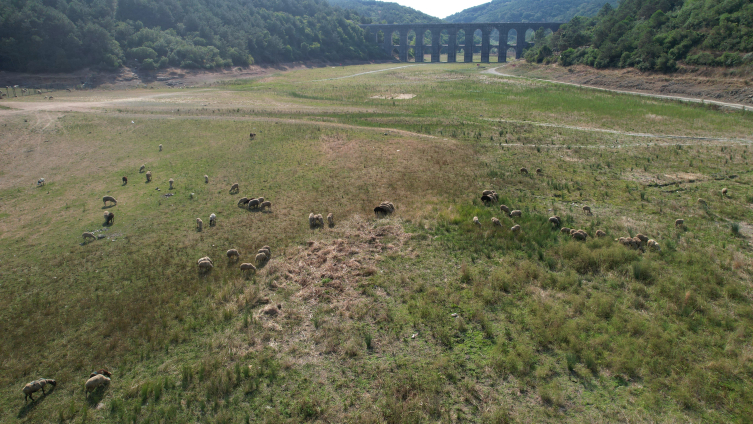 İstanbul barajlarında korkutan seviye